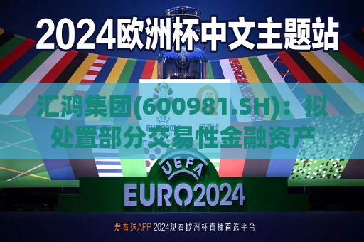 汇鸿集团(600981.SH):拟处置部分交易性金融资产