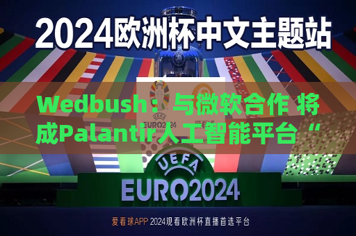 Wedbush：与微软合作 将成Palantir人工智能平台“跳板”