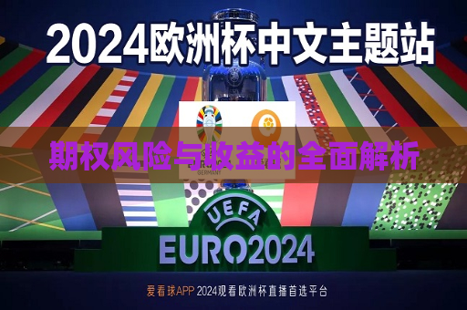 期权风险与收益的全面解析