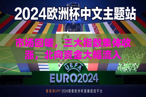 市场回暖，三大指数集体收涨，北向资金大幅流入