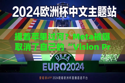 摸着苹果过河？Meta被曝取消了自己的“Vision Pro计划”