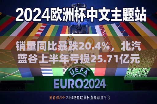 销量同比暴跌20.4%，北汽蓝谷上半年亏损25.71亿元