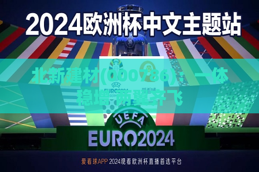 北新建材(000786)：一体稳增 两翼齐飞