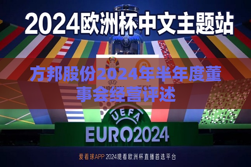 方邦股份2024年半年度董事会经营评述