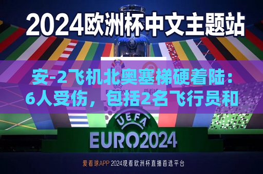 安-2飞机北奥塞梯硬着陆：6人受伤，包括2名飞行员和3名儿童