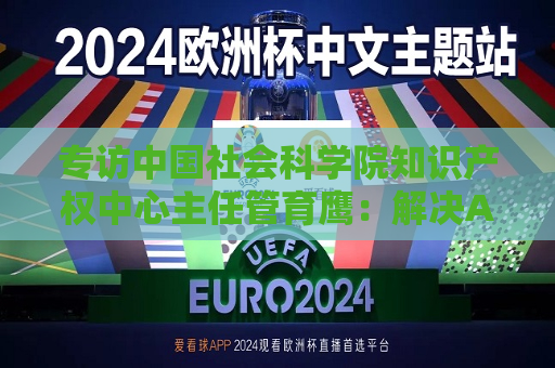 专访中国社会科学院知识产权中心主任管育鹰：解决AI著作权争议，可考虑设计喂料端的版权内容使用侵权例外规则
