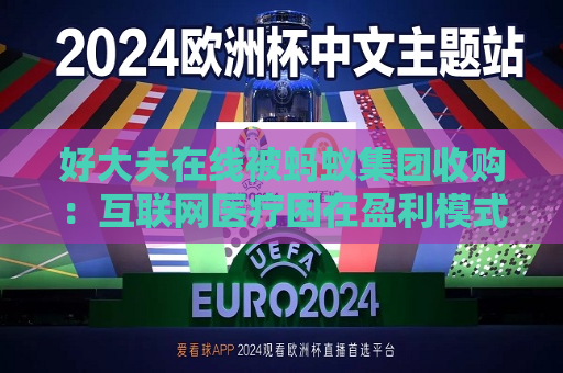 好大夫在线被蚂蚁集团收购：互联网医疗困在盈利模式中