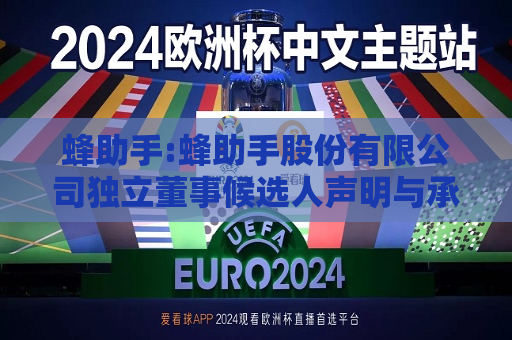 蜂助手:蜂助手股份有限公司独立董事候选人声明与承诺（刘俊秀）