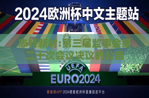 志特新材:第三届监事会第二十次会议决议的公告