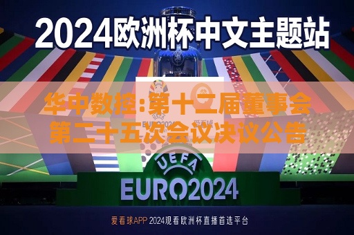 华中数控:第十二届董事会第二十五次会议决议公告