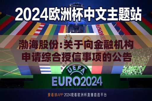 渤海股份:关于向金融机构申请综合授信事项的公告