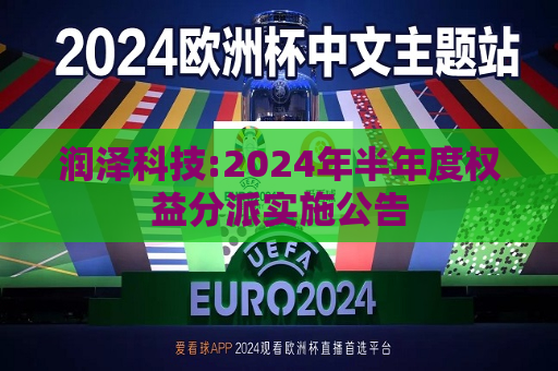 润泽科技:2024年半年度权益分派实施公告