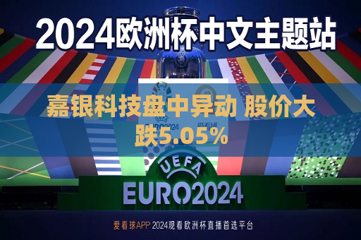 嘉银科技盘中异动 股价大跌5.05%