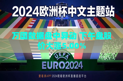 万国数据盘中异动 下午盘股价大涨5.00%