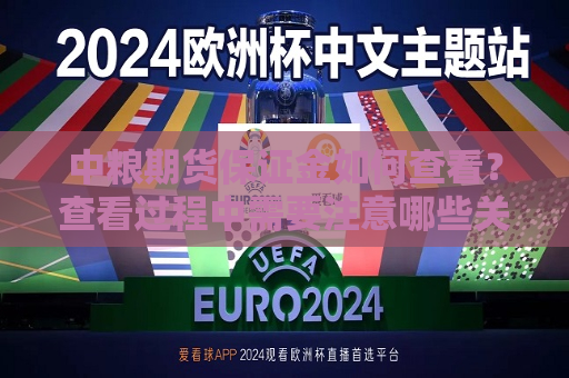 中粮期货保证金如何查看？查看过程中需要注意哪些关键点？