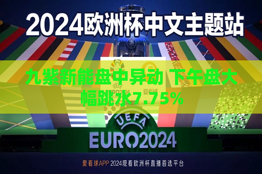 九紫新能盘中异动 下午盘大幅跳水7.75%