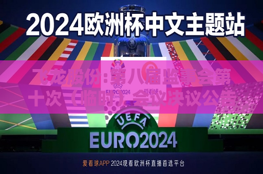 飞龙股份:第八届监事会第十次（临时）会议决议公告
