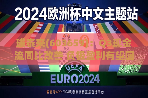 璞泰来(603659)：Q3现金流同比改善 负极盈利有望回升