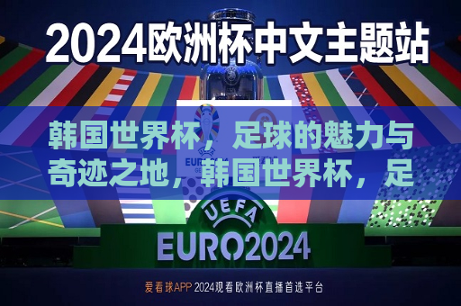 韩国世界杯，足球的魅力与奇迹之地，韩国世界杯，足球的魅力与奇迹同辉，韩国世界杯，足球魅力与奇迹的完美结合
