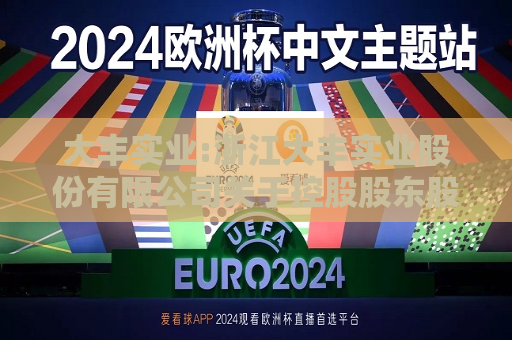 大丰实业:浙江大丰实业股份有限公司关于控股股东股份续质押以及补充质押的公告