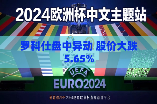 罗科仕盘中异动 股价大跌5.65%