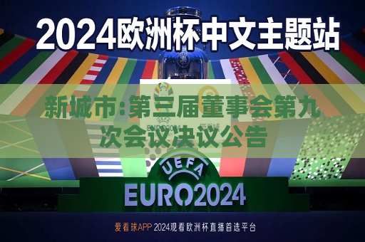 新城市:第三届董事会第九次会议决议公告
