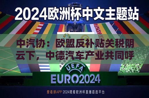 中汽协：欧盟反补贴关税阴云下，中德汽车产业共同呼吁合作而非对抗
