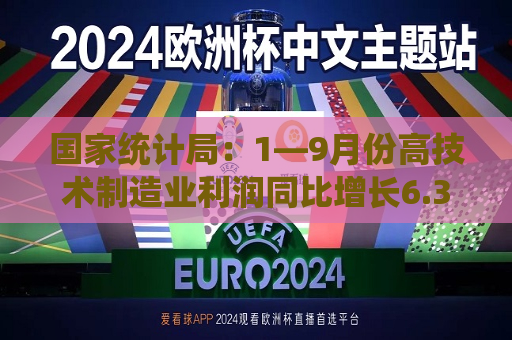 国家统计局：1—9月份高技术制造业利润同比增长6.3%