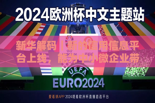 新华解码｜新的信用信息平台上线，能为中小微企业带来哪些好处？