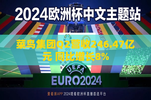 菜鸟集团Q2营收246.47亿元 同比增长8%