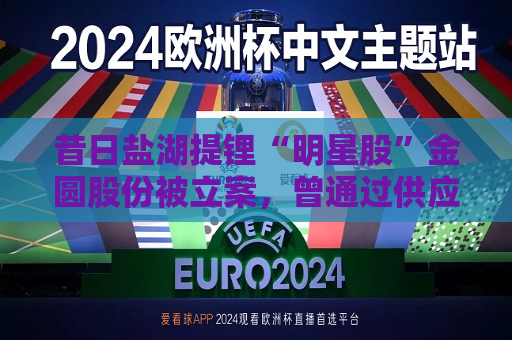 昔日盐湖提锂“明星股”金圆股份被立案，曾通过供应商给控股股东输送资金