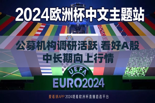 公募机构调研活跃 看好A股中长期向上行情