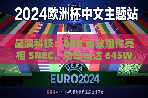 晶澳科技:0BB 高效组件亮相 SNEC,功率高达 645W