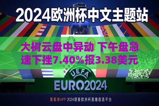 大树云盘中异动 下午盘急速下挫7.40%报3.38美元