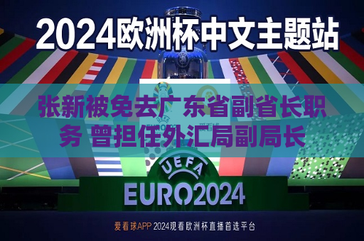 张新被免去广东省副省长职务 曾担任外汇局副局长