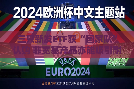 三只新发ETF获“国家队”认购 非宽基产品亦能吸引耐心资本