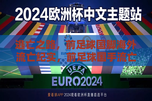 逃亡之路，前足球国脚海外流亡纪实，前足球国手流亡海外，揭秘逃亡之路，揭秘前足球国手海外流亡之路