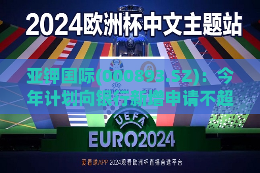 亚钾国际(000893.SZ)：今年计划向银行新增申请不超过20亿元综合授信额度