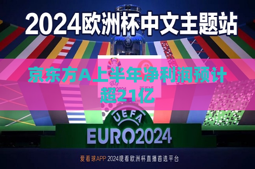 京东方A上半年净利润预计超21亿
