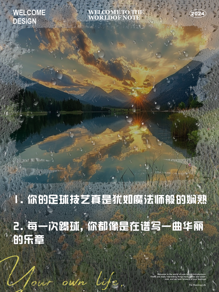 对足球的赞美(足球的赞美诗词大全集)