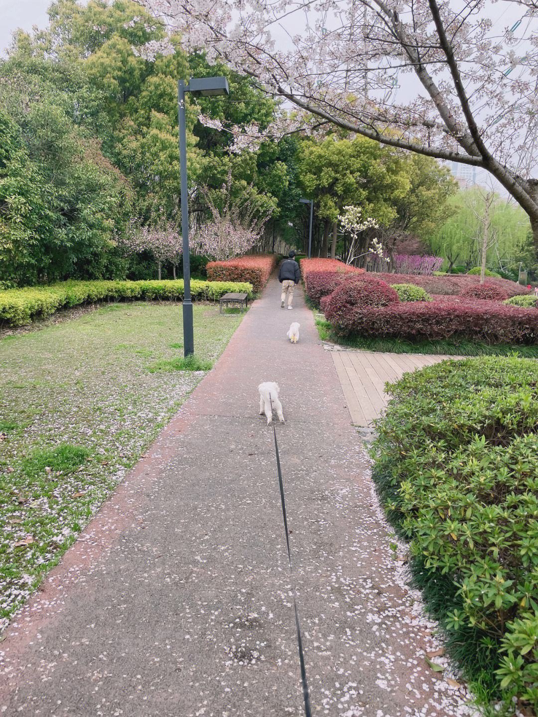 碧云足球场(碧云路633号碧云体育馆休闲中心)