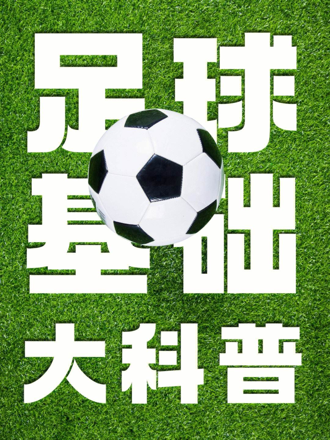关于足球的简介(关于足球的简介800字)