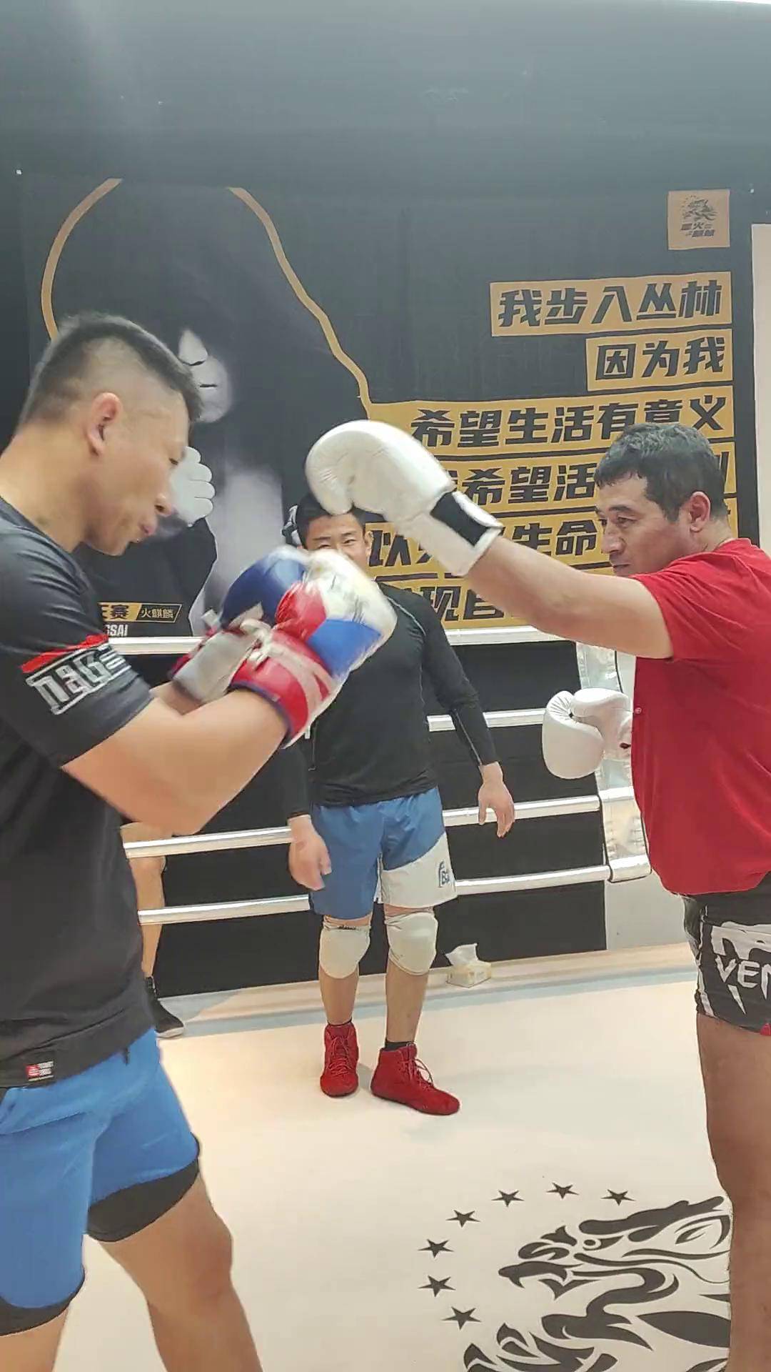 格斗VS拳击比赛(格斗赛和拳击赛)