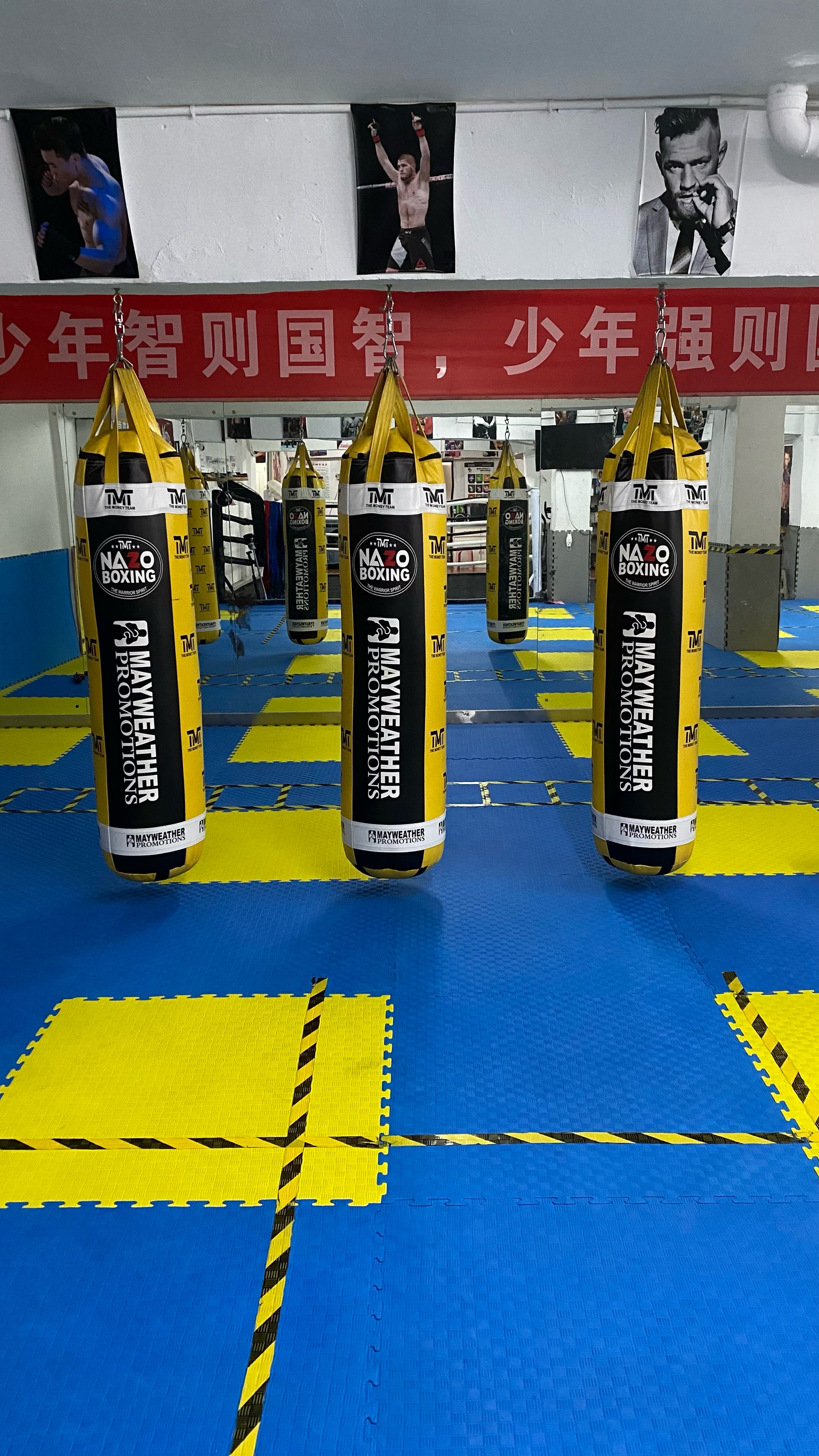 嘉定城发搏击足球队(上海嘉定城发足球队员名单)