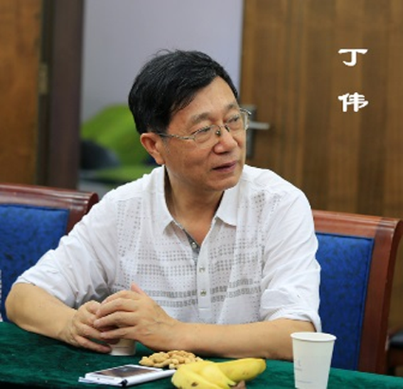 足球丁伟(丁伟球员时期)