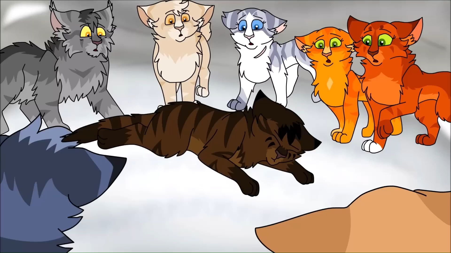 山猫vs狂热(山猫队史更佳阵容)
