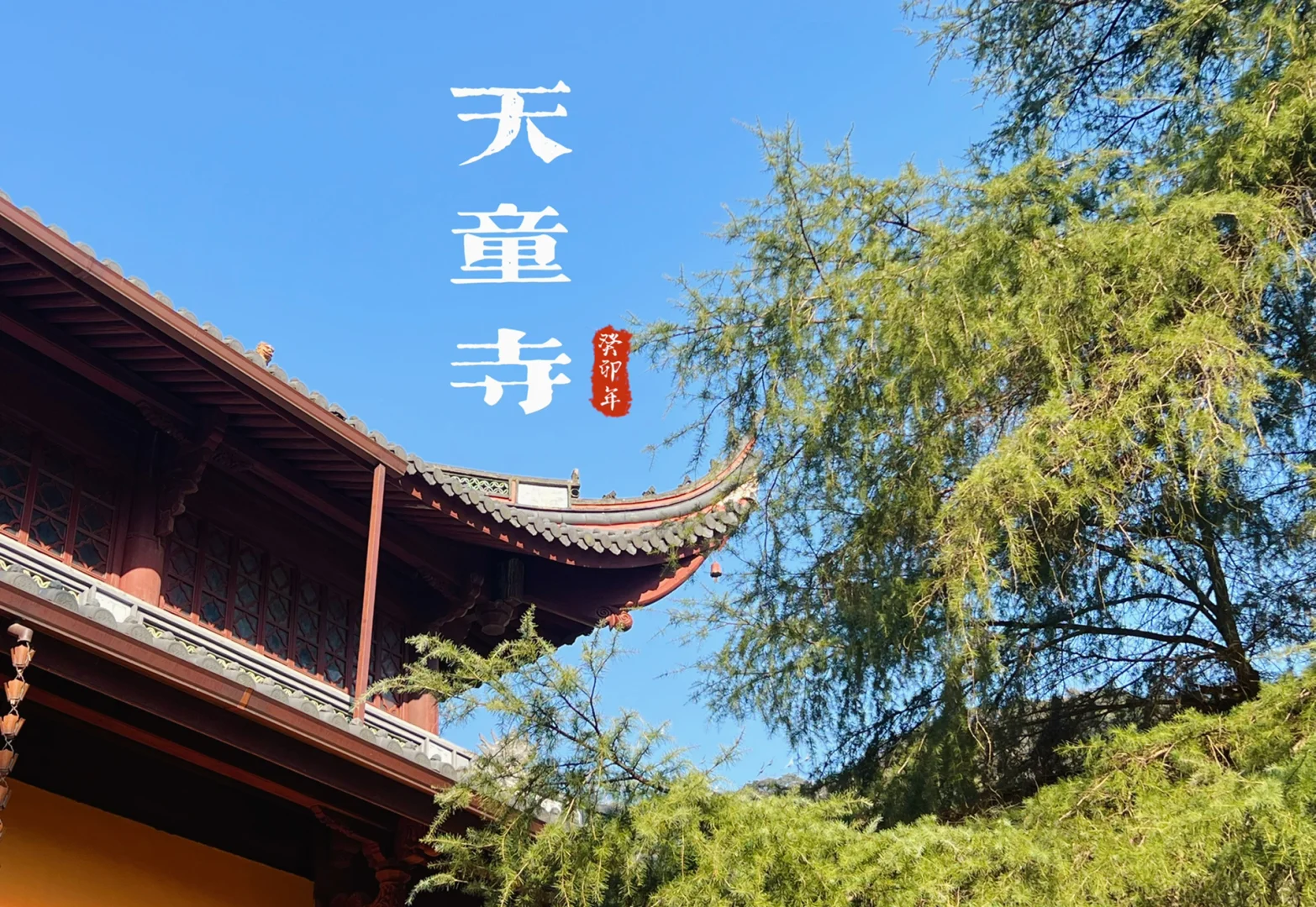 宁波天童足球学校(宁波天童足球学校官网)