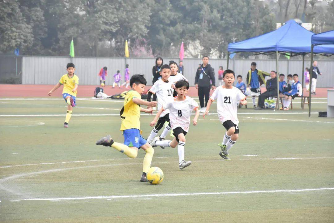 小学生足球比赛的视频(小学生足球比赛的视频教学)