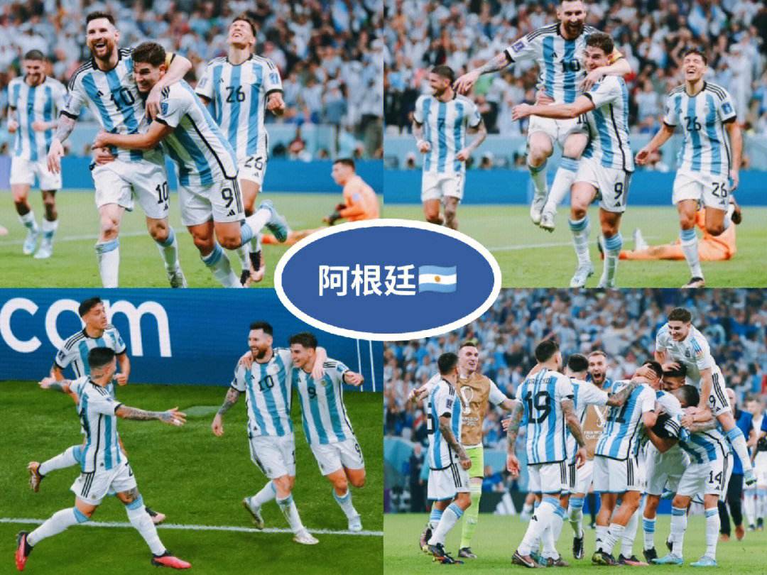 雄鹰vs老虎(雄鹰和老鹰有什么区别)