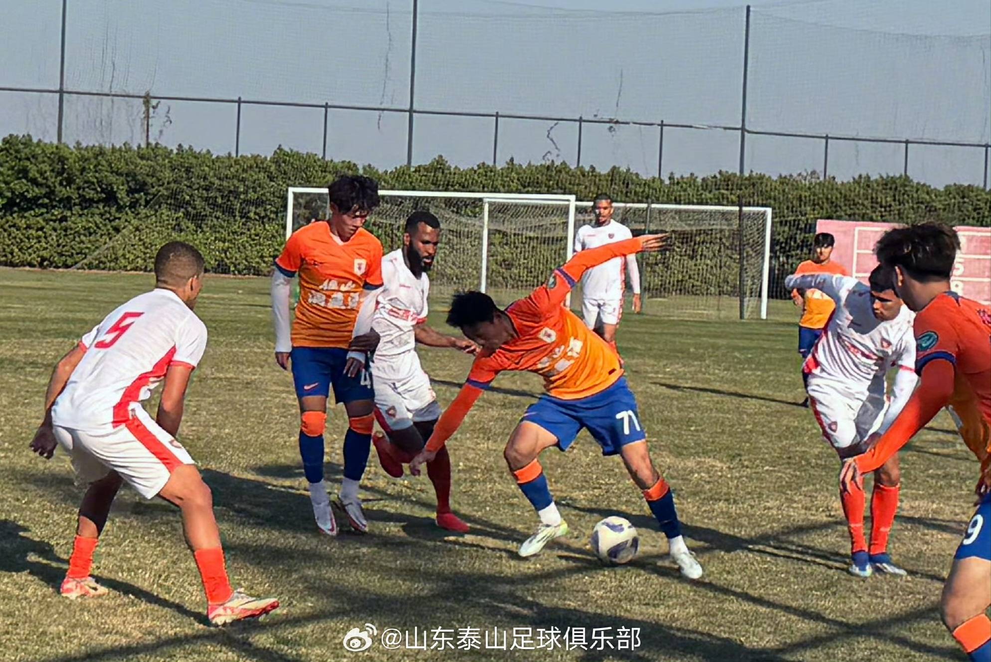 山东鲁能vs柏太阳神(山东鲁能44柏太阳神)